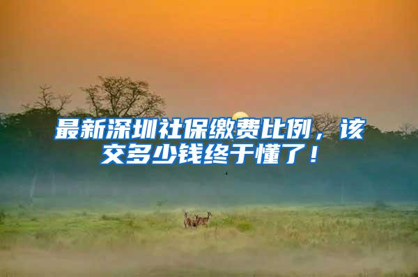 最新深圳社保缴费比例，该交多少钱终于懂了！