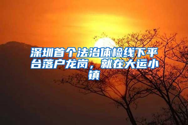 深圳首个法治体检线下平台落户龙岗，就在大运小镇
