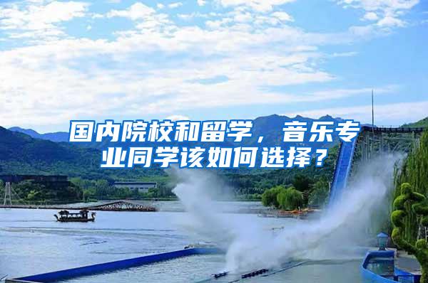 国内院校和留学，音乐专业同学该如何选择？
