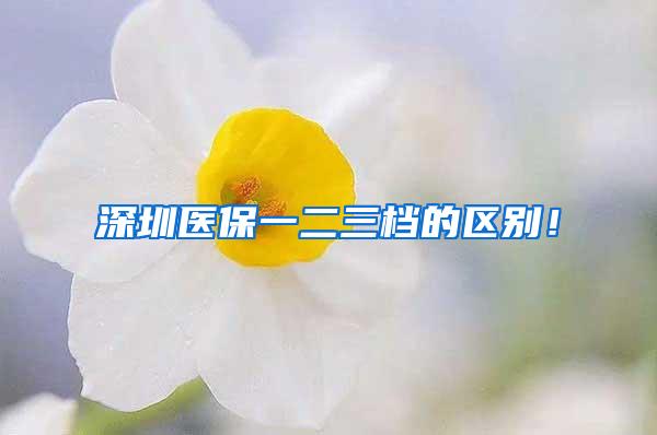 深圳医保一二三档的区别！