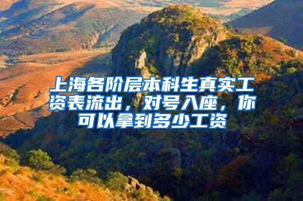 上海各阶层本科生真实工资表流出，对号入座，你可以拿到多少工资