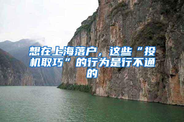 想在上海落户，这些“投机取巧”的行为是行不通的