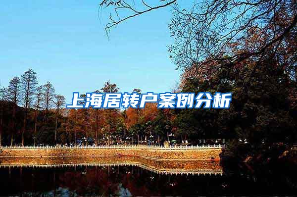 上海居转户案例分析