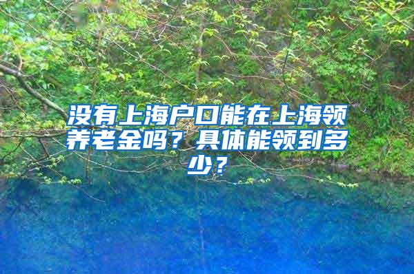 没有上海户口能在上海领养老金吗？具体能领到多少？