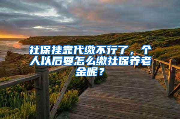 社保挂靠代缴不行了，个人以后要怎么缴社保养老金呢？