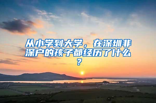 从小学到大学，在深圳非深户的孩子都经历了什么？