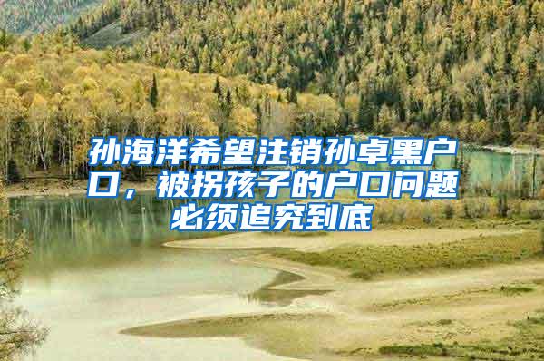孙海洋希望注销孙卓黑户口，被拐孩子的户口问题必须追究到底