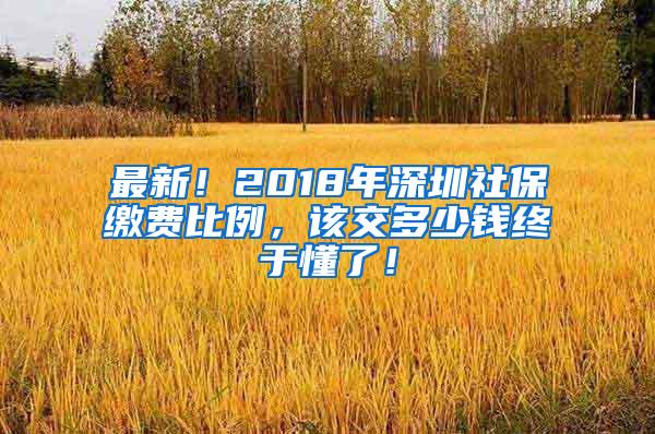 最新！2018年深圳社保缴费比例，该交多少钱终于懂了！