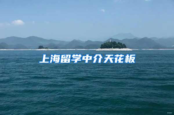 上海留学中介天花板