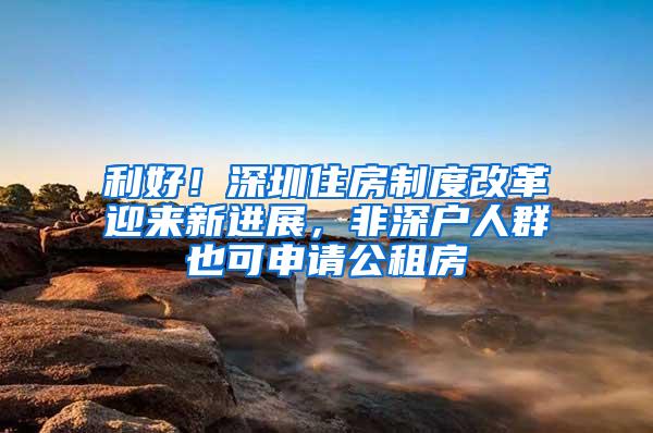 利好！深圳住房制度改革迎来新进展，非深户人群也可申请公租房