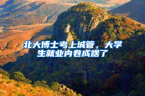 北大博士考上城管，大学生就业内卷成啥了