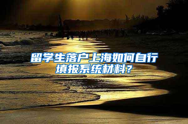 留学生落户上海如何自行填报系统材料？