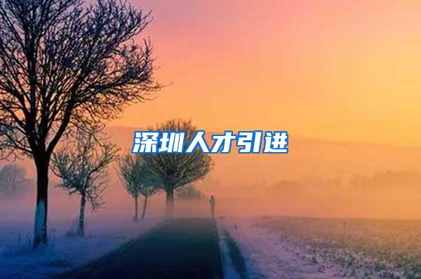 深圳人才引进