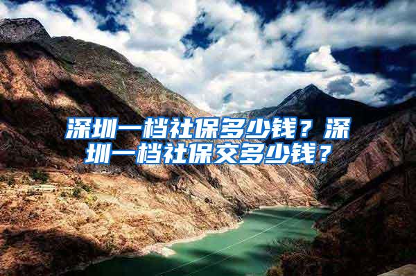 深圳一档社保多少钱？深圳一档社保交多少钱？
