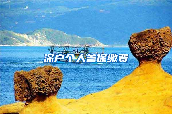 深户个人参保缴费