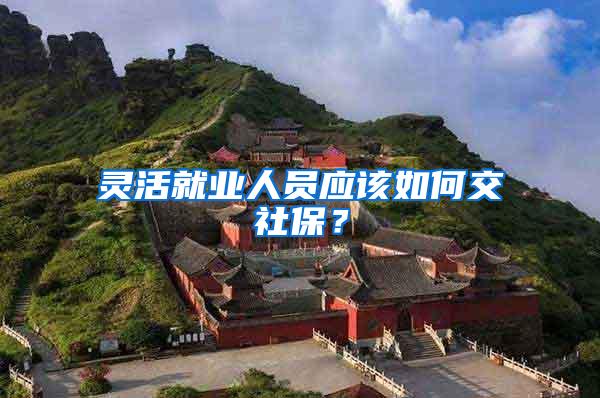 灵活就业人员应该如何交社保？