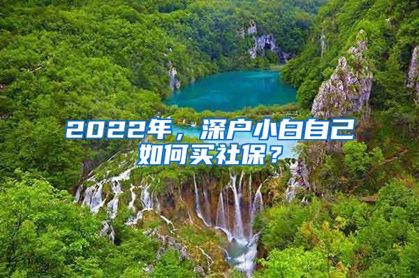 2022年，深户小白自己如何买社保？