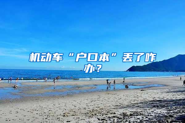 机动车“户口本”丢了咋办？