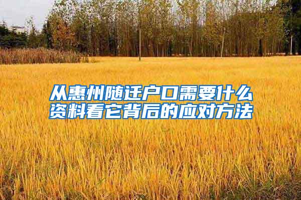 从惠州随迁户口需要什么资料看它背后的应对方法