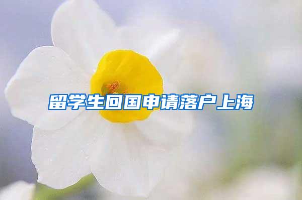 留学生回国申请落户上海