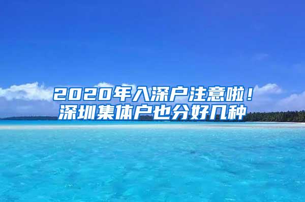 2020年入深户注意啦！深圳集体户也分好几种