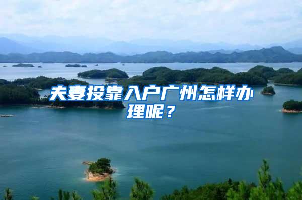 夫妻投靠入户广州怎样办理呢？