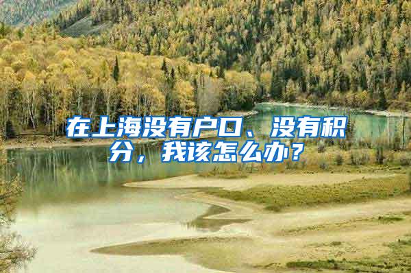 在上海没有户口、没有积分，我该怎么办？