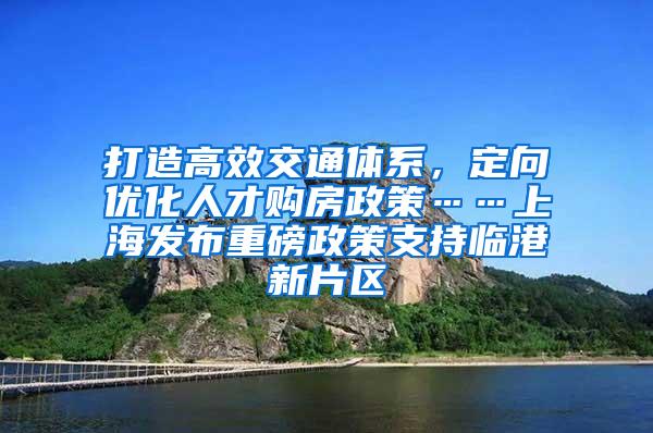 打造高效交通体系，定向优化人才购房政策……上海发布重磅政策支持临港新片区