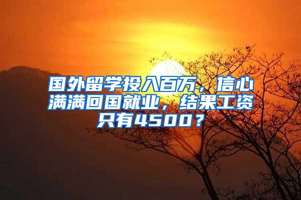 国外留学投入百万，信心满满回国就业，结果工资只有4500？
