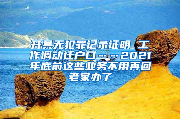 开具无犯罪记录证明 工作调动迁户口……2021年底前这些业务不用再回老家办了