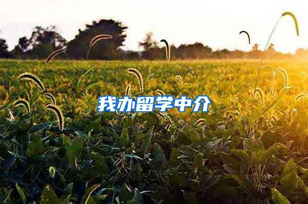 我办留学中介