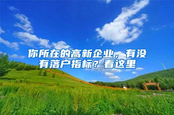 你所在的高新企业，有没有落户指标？看这里