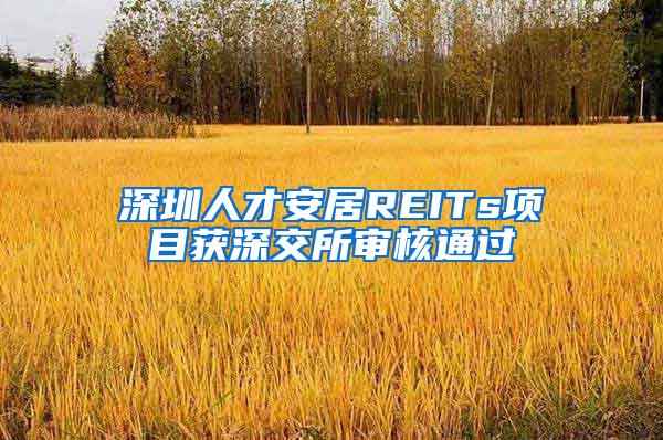 深圳人才安居REITs项目获深交所审核通过