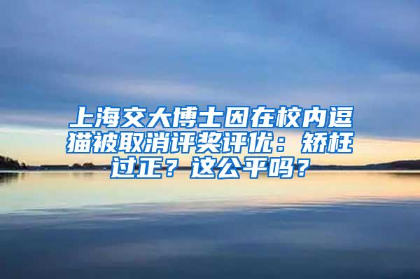上海交大博士因在校内逗猫被取消评奖评优：矫枉过正？这公平吗？