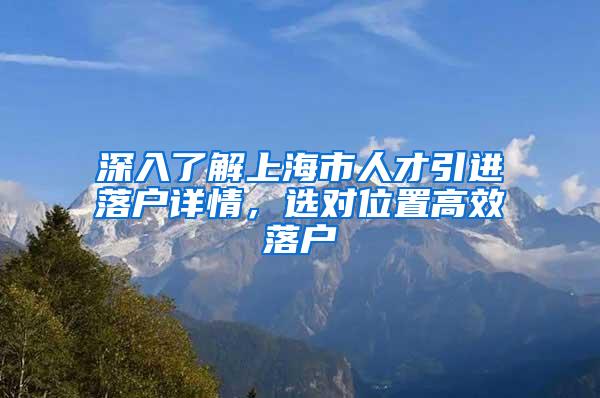 深入了解上海市人才引进落户详情，选对位置高效落户