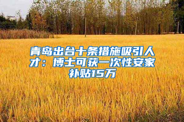 青岛出台十条措施吸引人才：博士可获一次性安家补贴15万