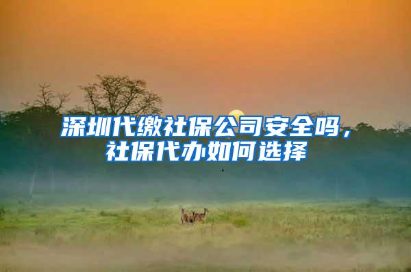 深圳代缴社保公司安全吗，社保代办如何选择