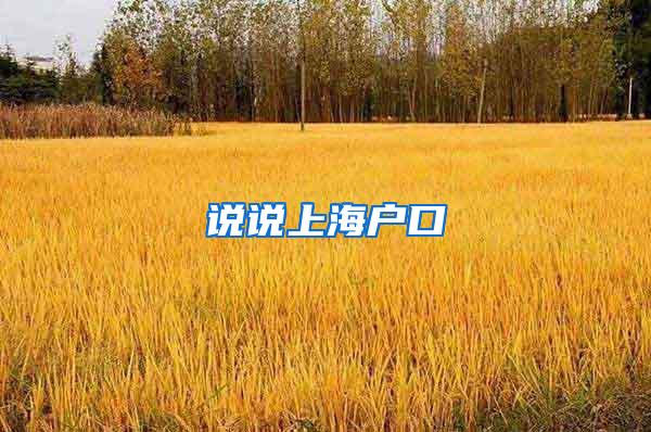 说说上海户口