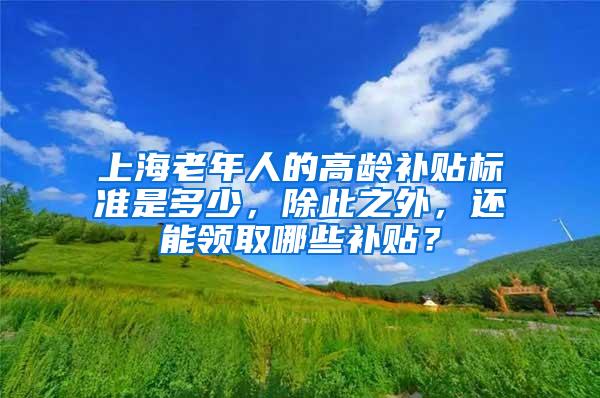 上海老年人的高龄补贴标准是多少，除此之外，还能领取哪些补贴？