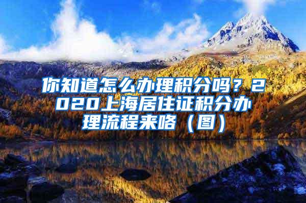 你知道怎么办理积分吗？2020上海居住证积分办理流程来咯（图）