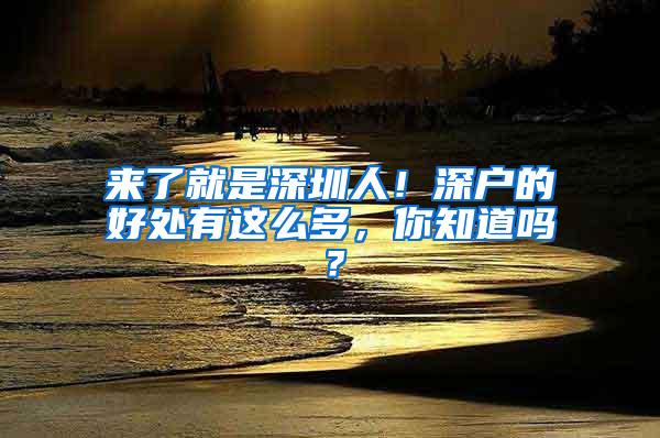 来了就是深圳人！深户的好处有这么多，你知道吗？
