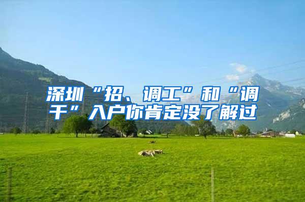 深圳“招、调工”和“调干”入户你肯定没了解过
