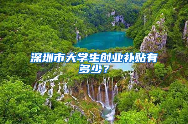 深圳市大学生创业补贴有多少？