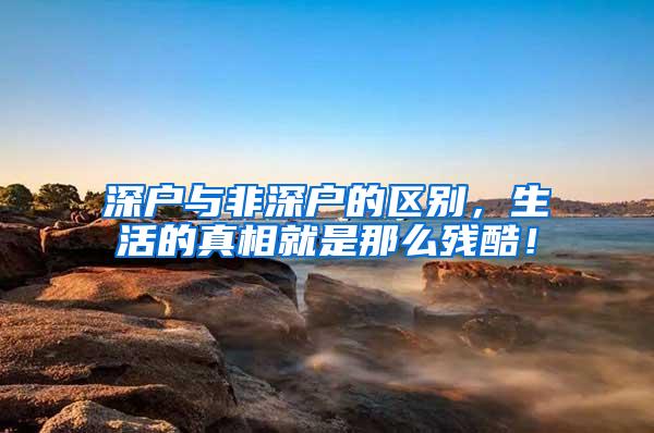 深户与非深户的区别，生活的真相就是那么残酷！