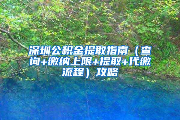 深圳公积金提取指南（查询+缴纳上限+提取+代缴流程）攻略