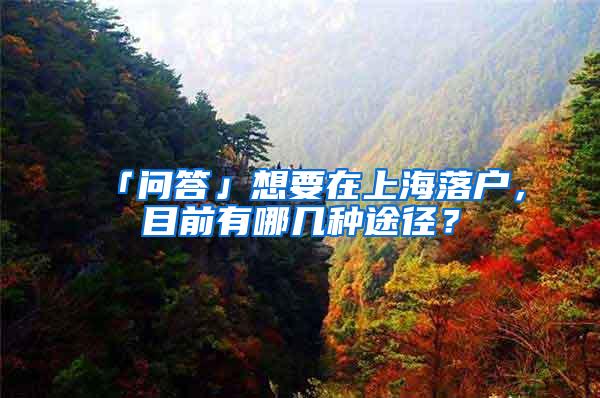 「问答」想要在上海落户，目前有哪几种途径？
