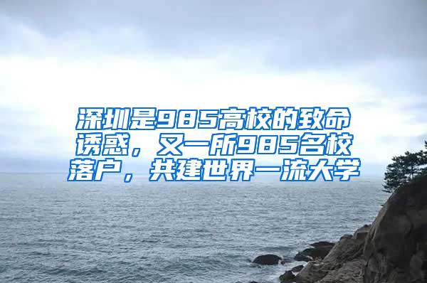 深圳是985高校的致命诱惑，又一所985名校落户，共建世界一流大学