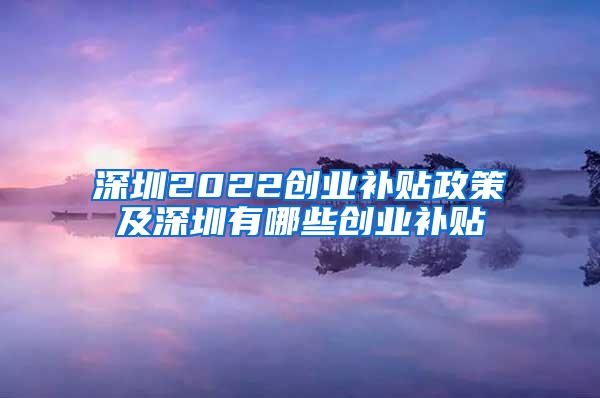 深圳2022创业补贴政策及深圳有哪些创业补贴