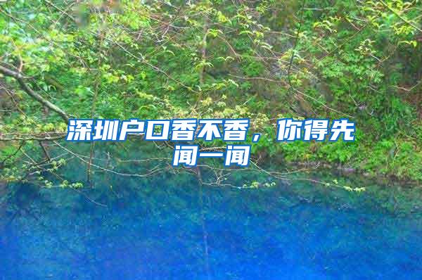 深圳户口香不香，你得先闻一闻