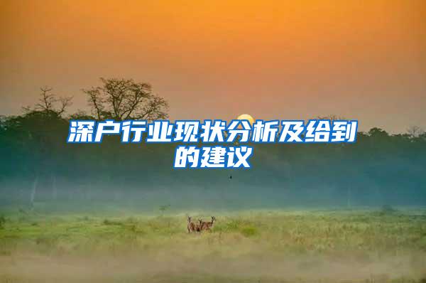 深户行业现状分析及给到的建议